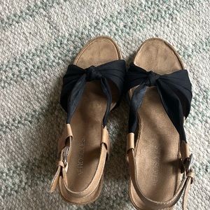 Aerosols black wedges